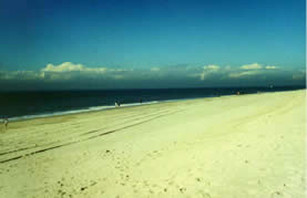 Arlie Beach